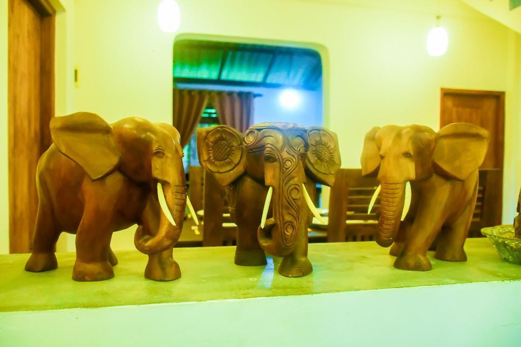 Villa Cinnamon Hills Galle Kültér fotó