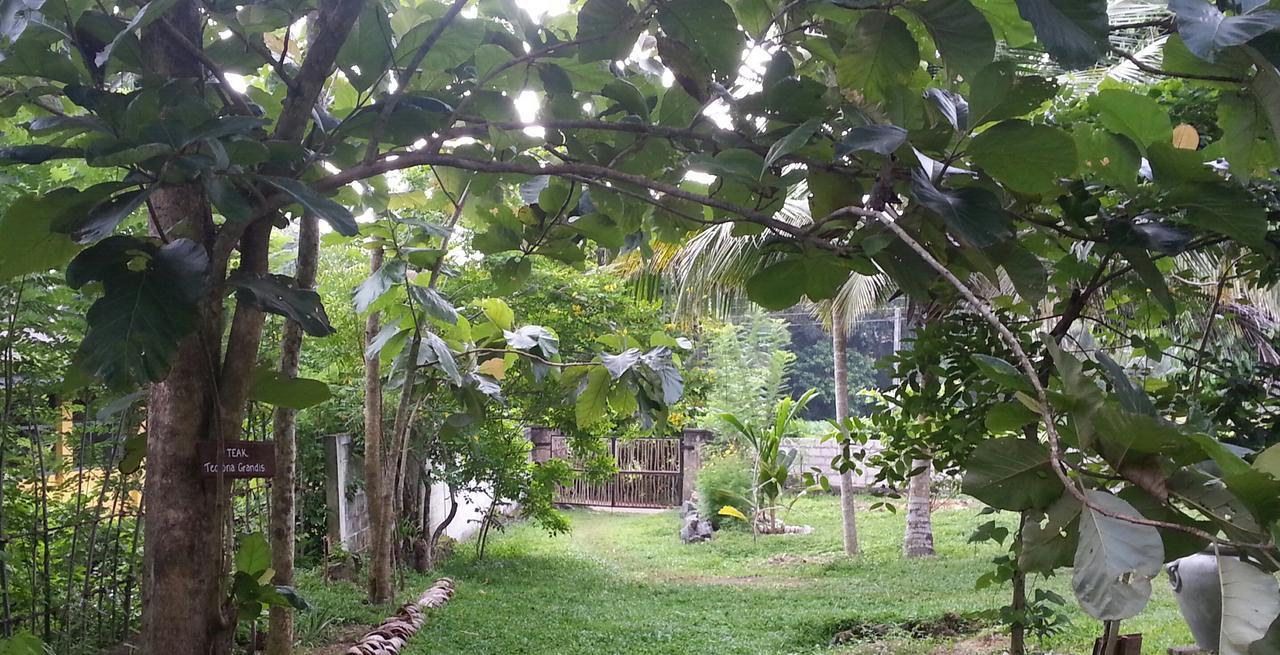 Villa Cinnamon Hills Galle Kültér fotó